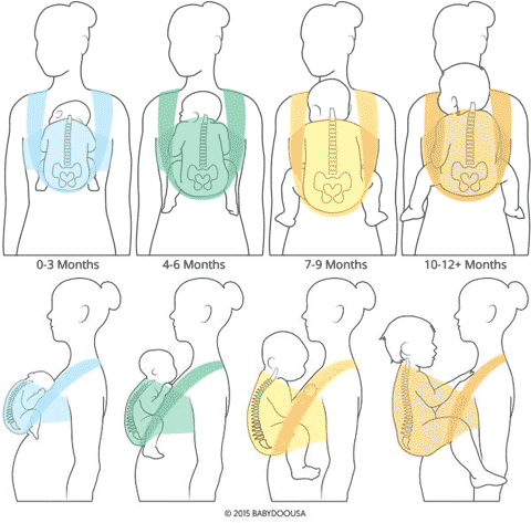Babywearing_First_Year_1_large